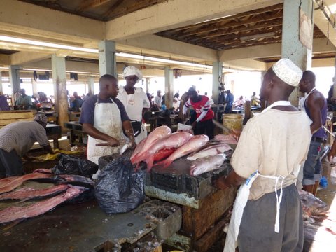 A fish market in action