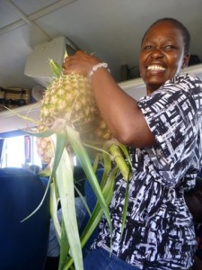 Rube bought pineapple as a gift for our hosts this evening.