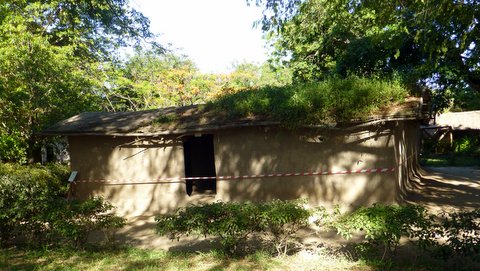 Tribal hut 3